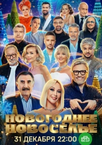 Новогоднее новоселье (2025)