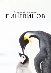 Встречайте семью пингвинов (2020)