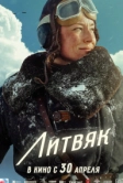 Литвяк (2025)