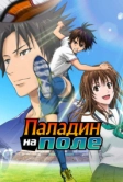 Паладин на поле (2012)