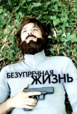 Безупречная жизнь (2018)