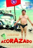 Броненосец (2010)