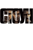 Стоун (2010)