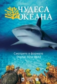Чудеса океана 3D (2003)