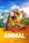 Удивительные животные (2021)